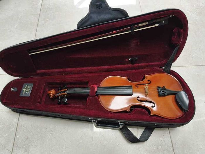 Violin 1/2 Sized