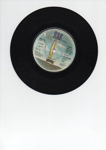 Mud One Night 1975 Uk Pressing Single two euro !!