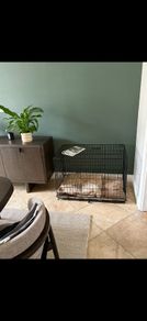 Wire Dog Crate