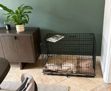 Wire Dog Crate