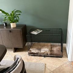 Wire Dog Crate