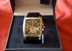 Festina Watch