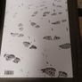 The Shadow of James Joyce/ Chapelizod & Environs/Motoko  Fujita/The Lilliput Press Image 2