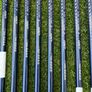 Xxio 9 Irons 5-pw+aw+sw Image 9