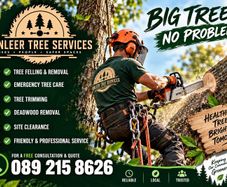 Tree service