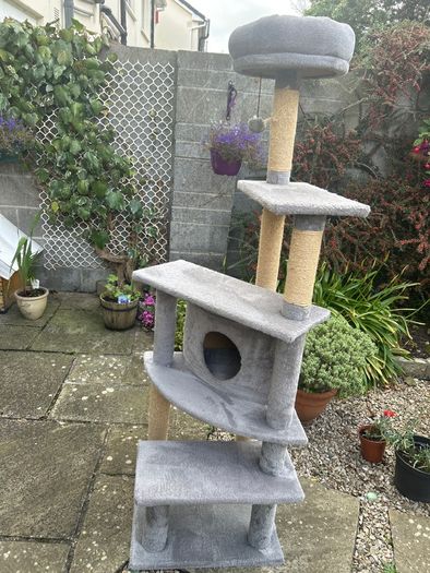 Cat scratcher