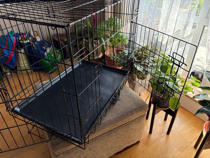 Dog crate with foam mattress