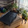 Dog crate with foam mattress Image 5