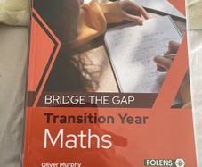 Bridge the Gap Maths TY