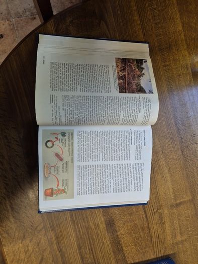 The New Book of Knowledge