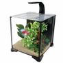Fluval Betta Premium Aquarium Kit, 6 US Gal / 22.7 L Image 2