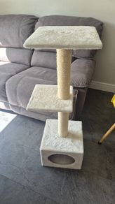 cat tree