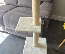 cat tree