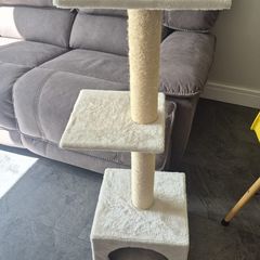 cat tree