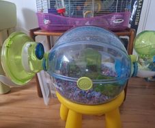 habitrail hamster cage