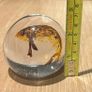 Art Glass Paperweight Image 4