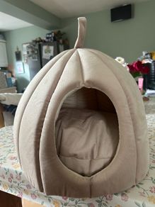 cat bed