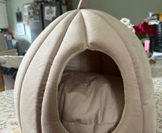 cat bed
