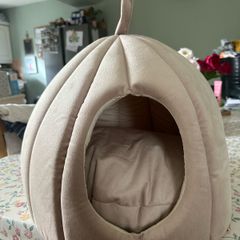 cat bed