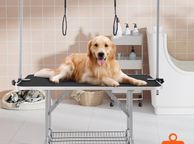 main image for ad Pet Grooming Table Two Arms with Clamp, 117cm Dog Grooming Station, Foldable Pets Grooming Stand for Medium and Small Dogs, Free Two No Sit Haunch Holder with Grooming Loop, Bearing 149.7kg