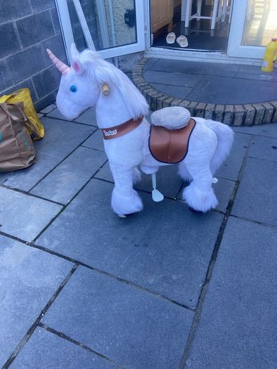 girls ride along pony