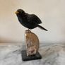 Hand-Carved Gemstone European Blackbird on Agate Geode Base Image 8