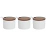 Brand New HASAYAKI Condiment Jars, Set of 3 Porcelain Seasoning Jars, Image 3