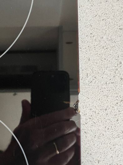 Zanussi Induction Hob