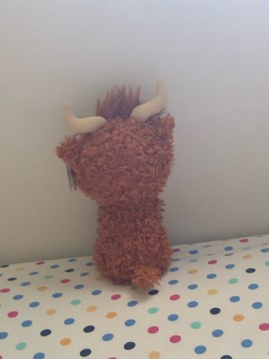 Brown teddy