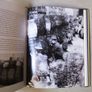 1916 : The Easter Rising Image 2