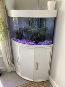 Aqua One 140L Corner Fish Tank
