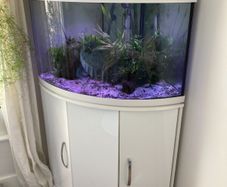 Aqua One 140L Corner Fish Tank