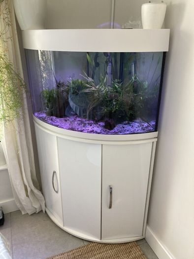 Aqua One 140L Corner Fish Tank