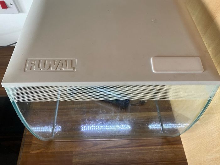 60 litre fish tank
