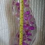 Orchid decor Image 2