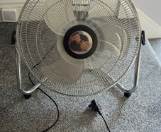 Fan