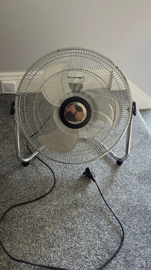 Fan