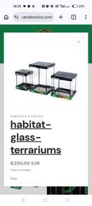glass terrarium