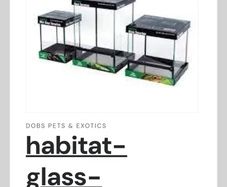 glass terrarium