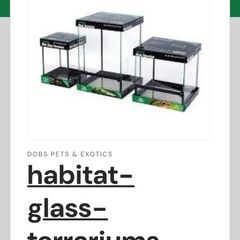 glass terrarium