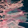 Pink tasseled hammock Image 5