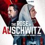 Feature Films - DVD Titles Beginning With The Letter R (Various Genres) Image 2