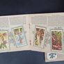 wild flowers cigarette cards Image 6