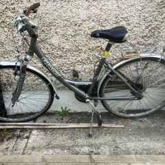 Giant Ladies Hybrid Bike