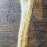 Vintage Deer Antler Image 4