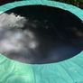 Berg Trampoline Image 2