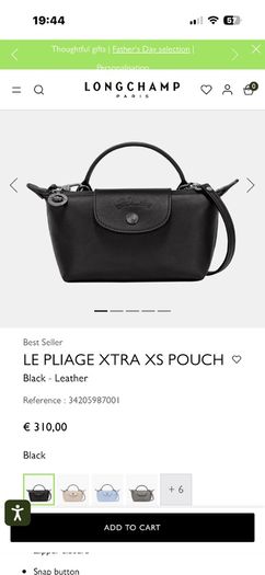 Longchamp bag