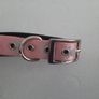 New large dog collar Image 3