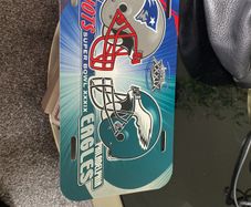 Super Bowl  XXXIX plastic plates