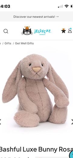 Looking for Jellycat brand genuine big or huge Rosa